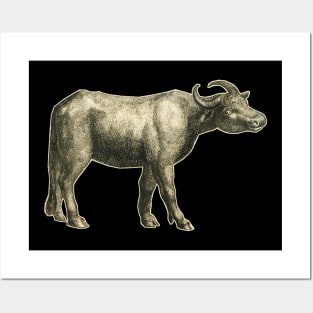 Vintage drawing Buffalo Posters and Art